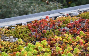 the cost of Lesmahagow green roof installation